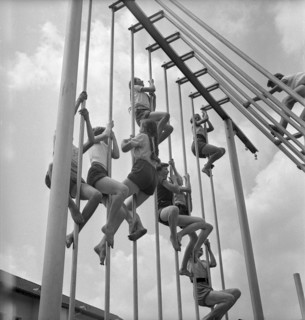 Wangi, outdoor gym lesson, 1955