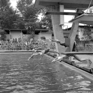 Zurich, gilrs taking a header during swimming lesson in a open air bath 1956