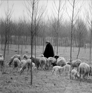 Christmas Eve 1957: shepherd Bartholomeo Baietto, Vionnaz