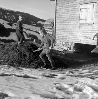 Christmas Eve 1957: Boys on a farm