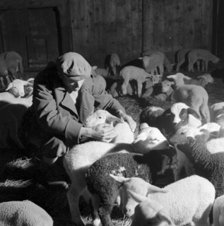 Christmas Eve 1957: shepherd Bartholomeo Baietto, Vionnaz