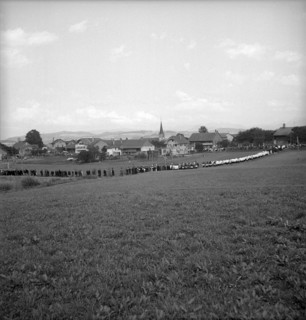Siviriez FR 1953