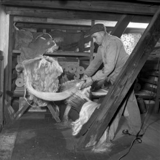 Rope production, Ropery Denzler Zurich 1952