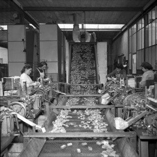 Match production at Terza match factory, Unterterzen, 1952