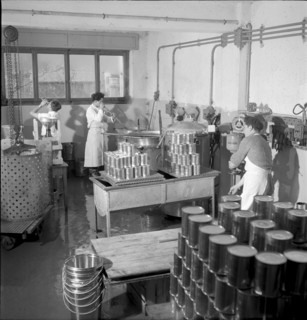Saxon canning factory 1954