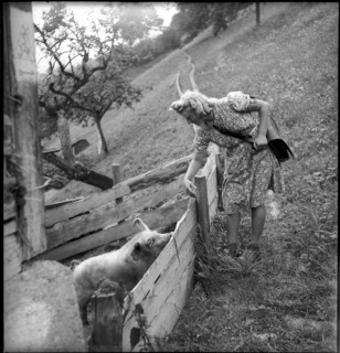 Alpnachstad, postwoman bringing mail to farmers, 1944