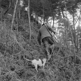 Christmas hunting, Greppen 1955: Hunter with dog