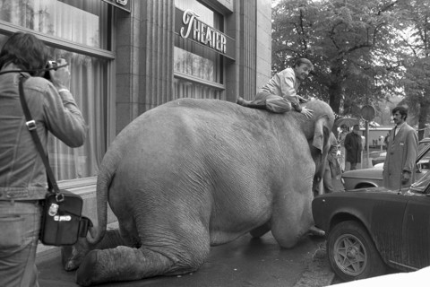 Emil riding on a Circus Knie elephant, Zurich 1977