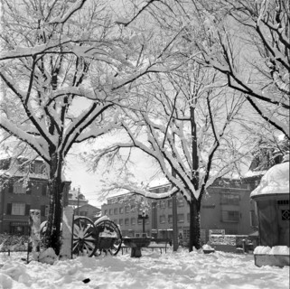 Snow in Zurich 1952