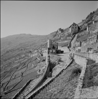 Corniche"" Cully - Chexbres connection road under construction, Lavaux, 1957