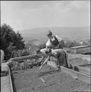Gardening at school for household, Uster 1956