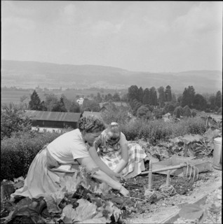 Gardening at school for household, Uster 1956