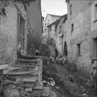 Woman with sheeps in Simplon-Dorf, 1960