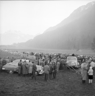 Car accident and rearbend collision near Bilten, cars damaged in the accident, 1953