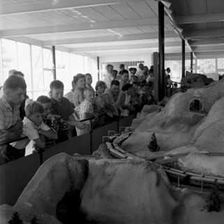 Boys watching a model railway, Lucerne Traffic Museum opening 1959