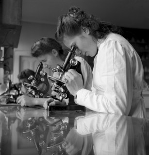 Work at microscope at the social women's school, Geneva 1944