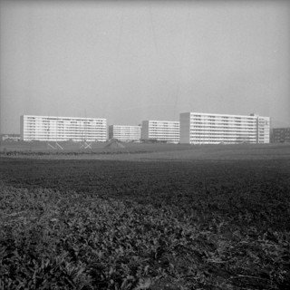 Tscharnergut, new built residential area in Berne Bumpliz 1959