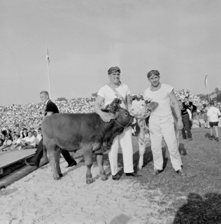 Swiss wrestling festival Aarau 1964: champion Meli, second placed Kobelt