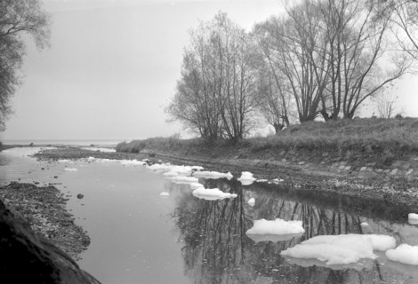 Water pollution near lake Constance 1962