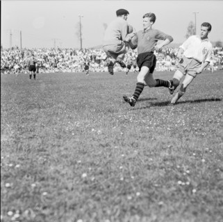 Swiss cup 1956/57, semi final: FC Nordstern - Lausanne Sports