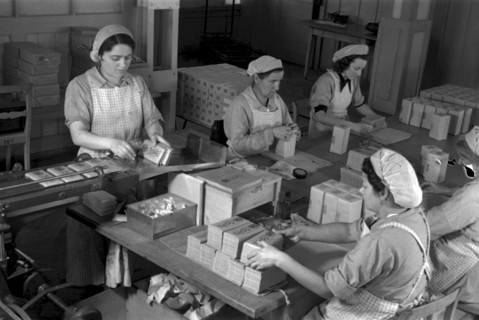Workers packing up chocolate bars in chocolate factory Suchard in Serrieres, 1942