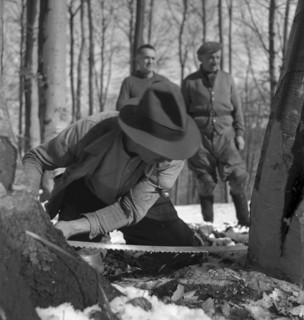 Course for lumberjack, Strickhgof Zurich 1941