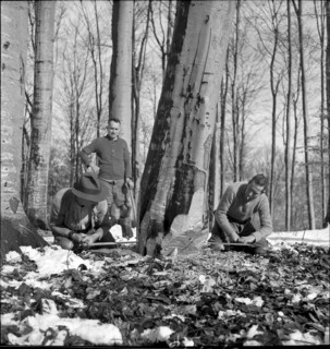 Course for lumberjack, Strickhgof Zurich 1941