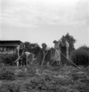 Gardening at women's school 'Heim' in Neukirch an der Thur, 1940