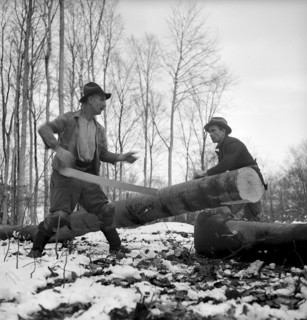 Course for lumberjack, Strickhgof Zurich 1941