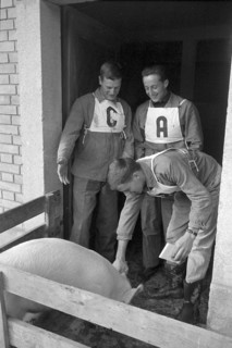 qualifying contest for youth cup of exhibition 64, Berne 1963