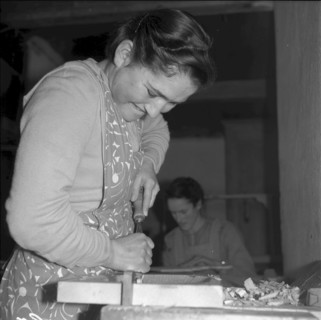 School for farmers, Schiers 1954