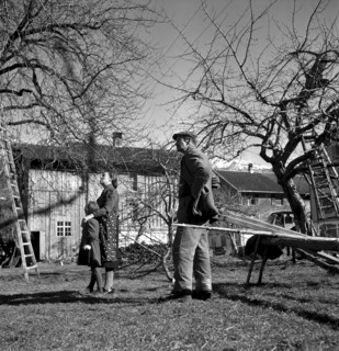 Course for tree warden in Sevelen 1940