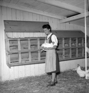 Swiss school for poultry farming, Zollikofen 1945