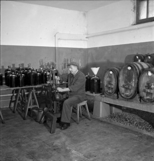 In the wine cellar of research institute for fruit and wine culture, Lausanne 2008