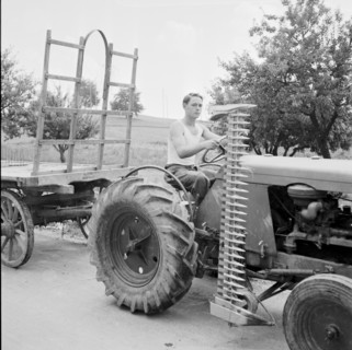 farmer on his tractor, Niederhasli 1951
