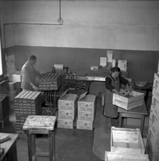 Forwarding department, Terza match factory, Unterterzen, 1952