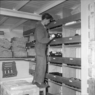 Wine bottles storeroom aboard the ship ""Linth"", 1952