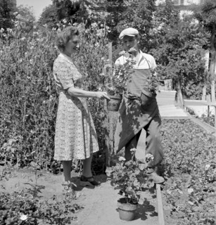 Floral decoration contest in Geneva 1942