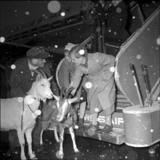 Heidi movie actors Elsbeth Sigmund and Thomas Klameth leave for the USA. 1953