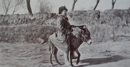 Orderly on a donkey Art album Manchuria Russo-Japanese War 1906