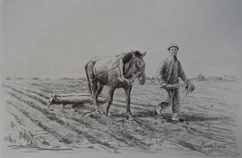 Cultivation of fields Vitaly Tikhov (1876-1939)