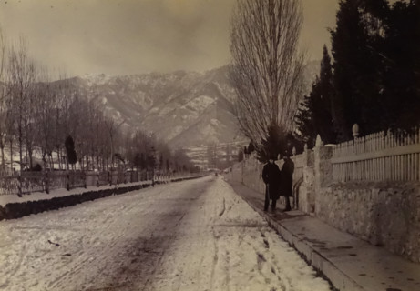 Yalta On Pushkin Boulevard Late 19th century Photo by Leonid Sredin