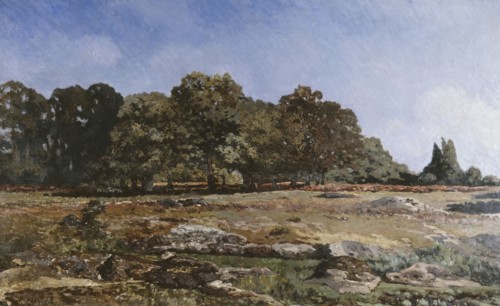 Edge of the Forest of Fontainebleau.