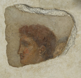 Head of a young man