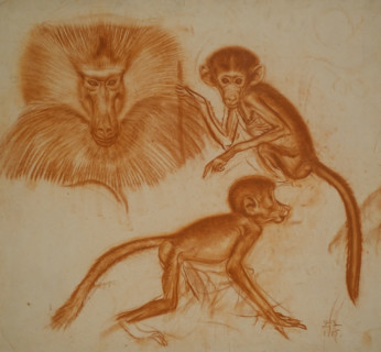 Monkeys