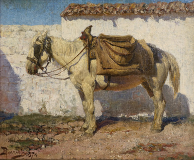 White horse