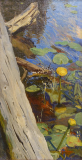 Water Lilies