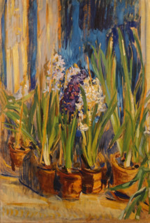Hyacinths at Night