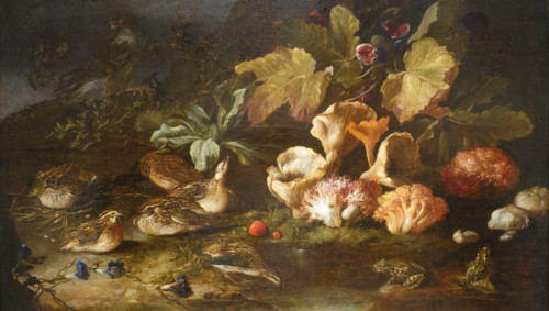 Still Life with Mushrooms
