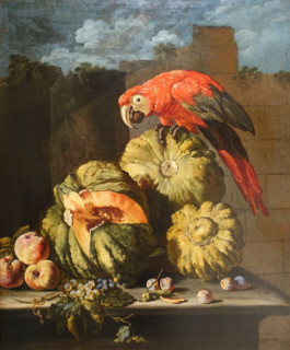 Still Life with pumpkins and a red parrot